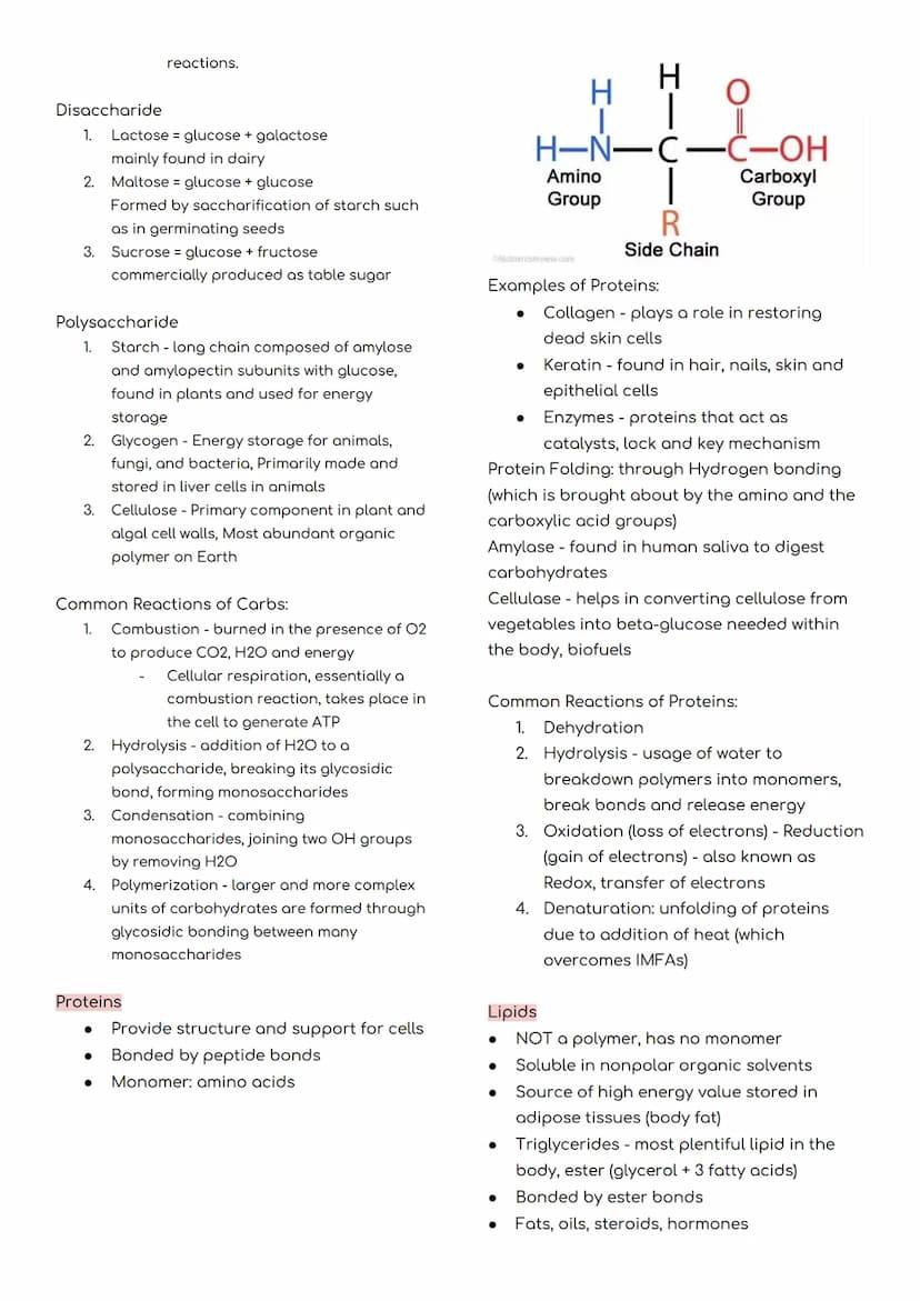 GENERAL CHEMISTRY 2
MIDTERMS REVIEWER
INTERMOLECULAR FORCES
Two Types of Forces:
1. Intramolecular - bonding forces within
the molecule, str