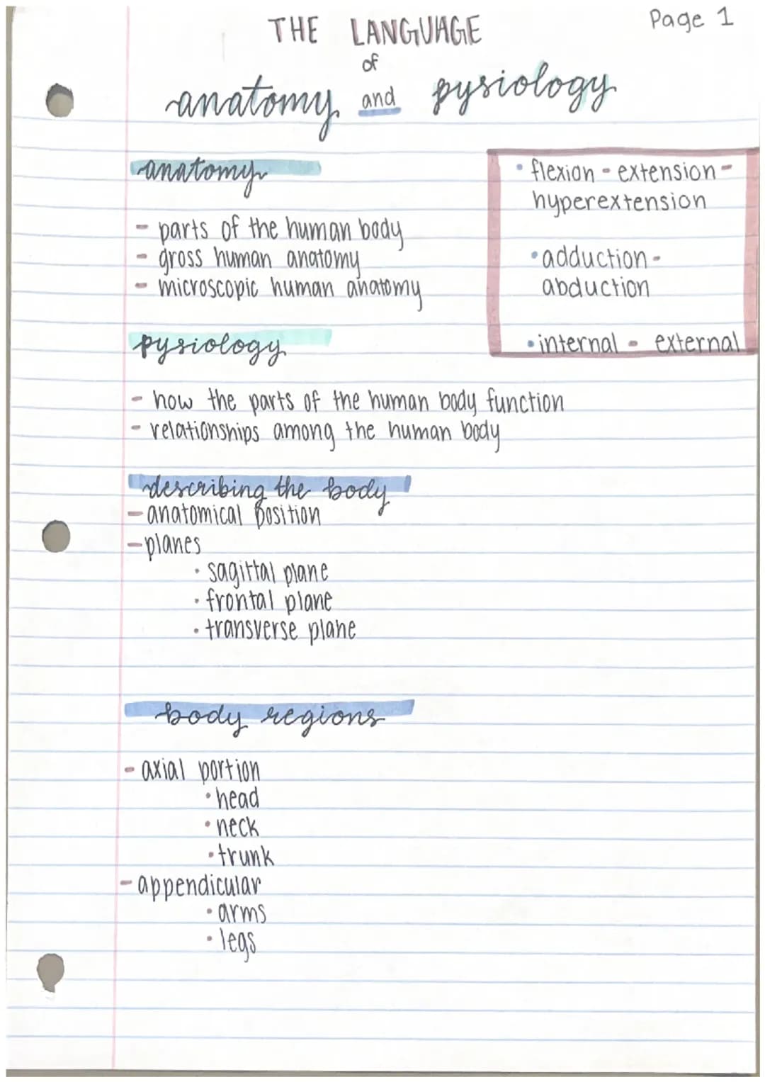 Fun with Anatomy: Directional Terms, Body Planes, and Cavities for Kids