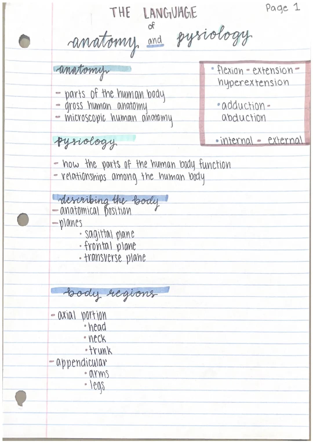 THE LANGUAGE
of
and pysiology
anatomy
anatomy
- parts of the human body.
- gross human anatomy.
- microscopic human anatomy.
describing the 