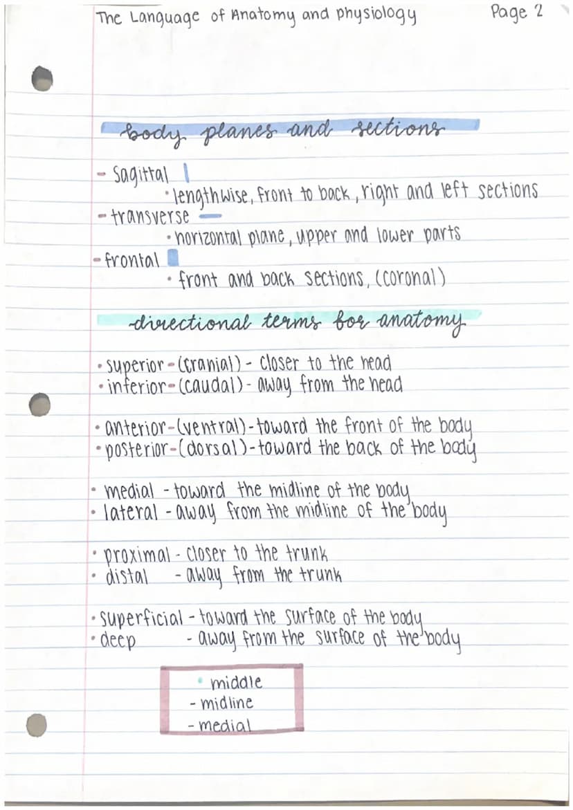 THE LANGUAGE
of
and pysiology
anatomy
anatomy
- parts of the human body.
- gross human anatomy.
- microscopic human anatomy.
describing the 