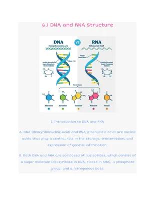 Know 6.1 DNA and RNA Structure thumbnail