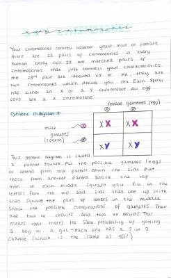 Know Reproduction-X & Y Chromosomes-Variation thumbnail