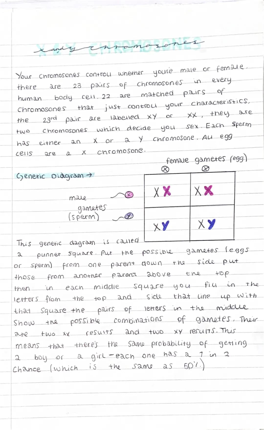 Your Chromosones controll whether you're male or female.
there
are 23
pairs of
Chromosones
in
human body cell. 22
matched
are
pairs
that
Chr