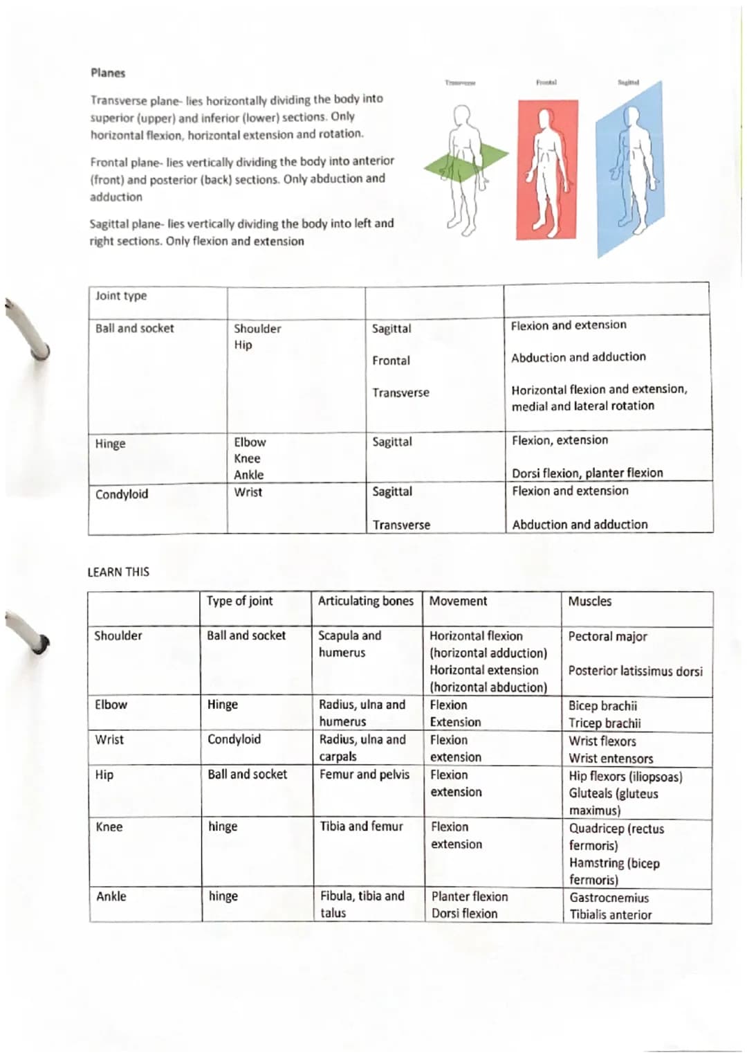 Skeletal system
Protection to vital organs in the body, site for blood cell production, acts as a mineral store, provides
attachments for th