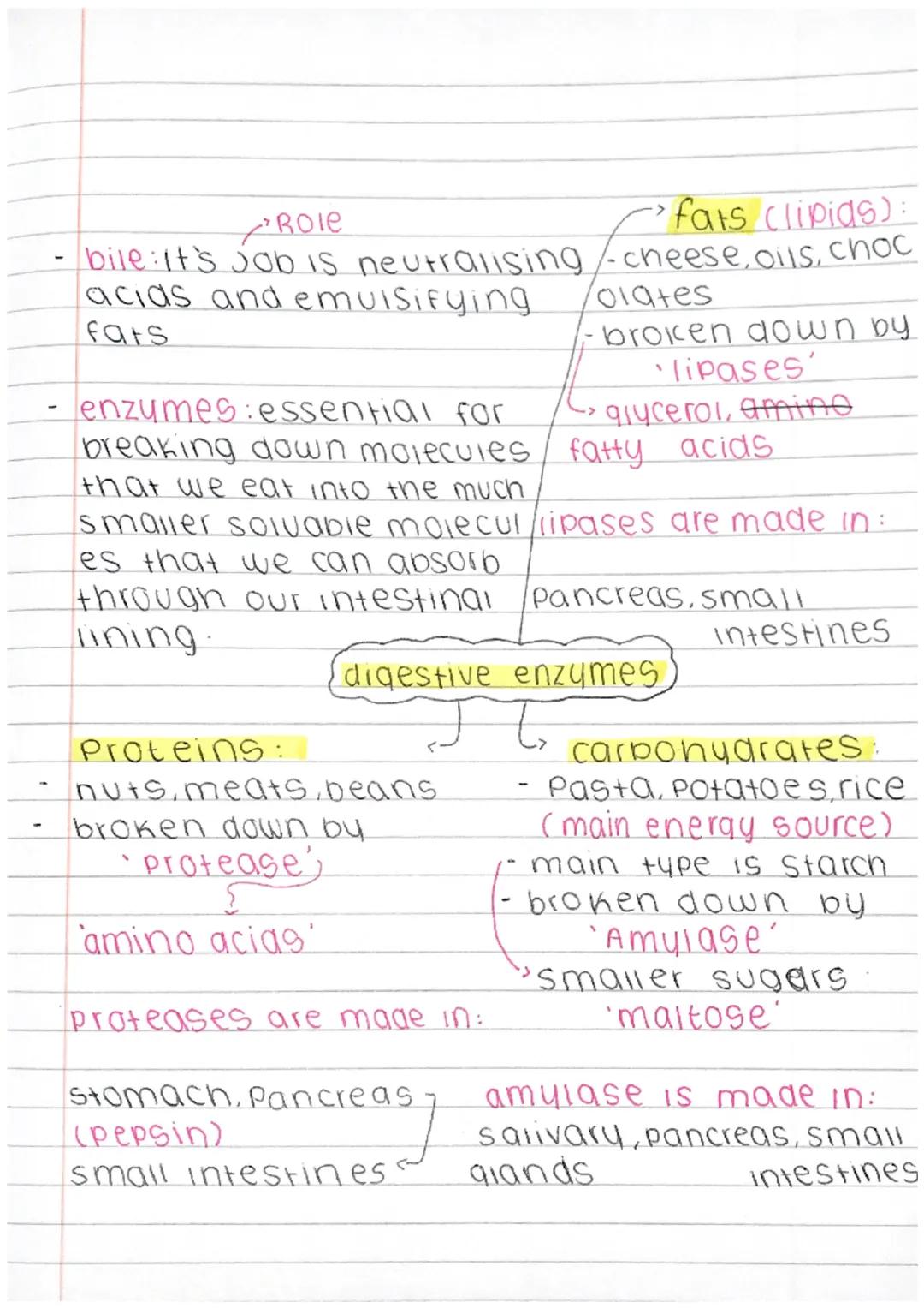 Role

fars (lipids):
- bile: It's job is neutralising/cheese, oils, choc
acids and emulsifying
fars
olates
- broken down by
•lipases'
enzyme
