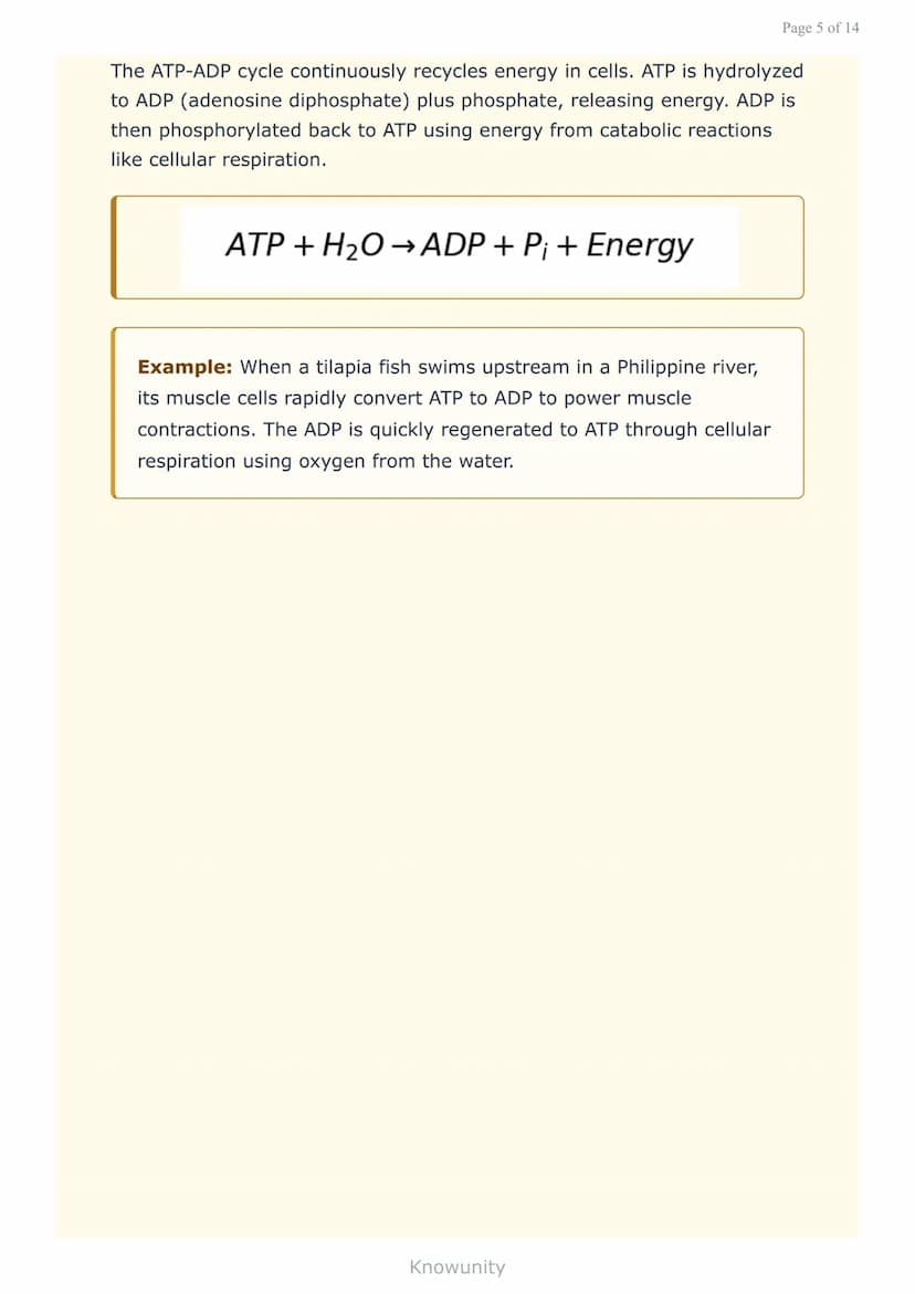 Cell Structure and Function: Metabolism, Respiration, and
Photosynthesis
Essential cellular processes that sustain life in all
organisms
Wha