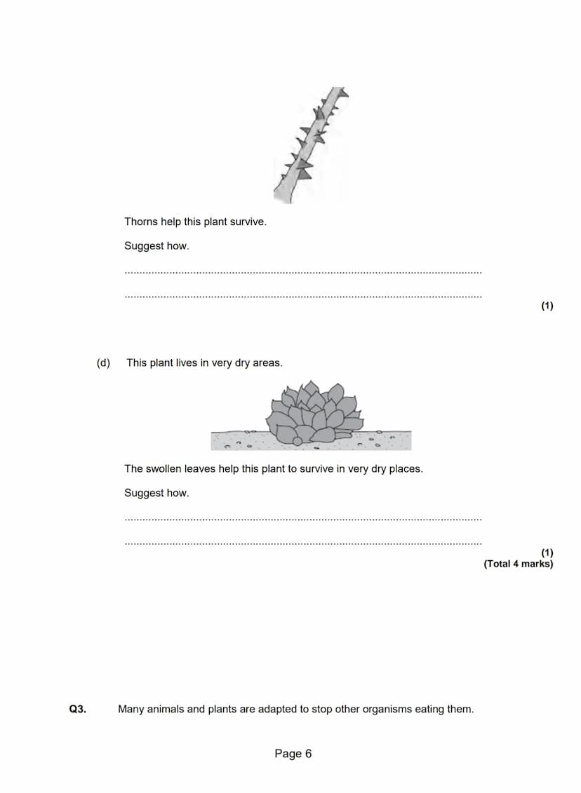 Q1.A grassy field on a farm measured 120 metres by 80 metres.
A student wanted to estimate the number of buttercup plants growing in the fie