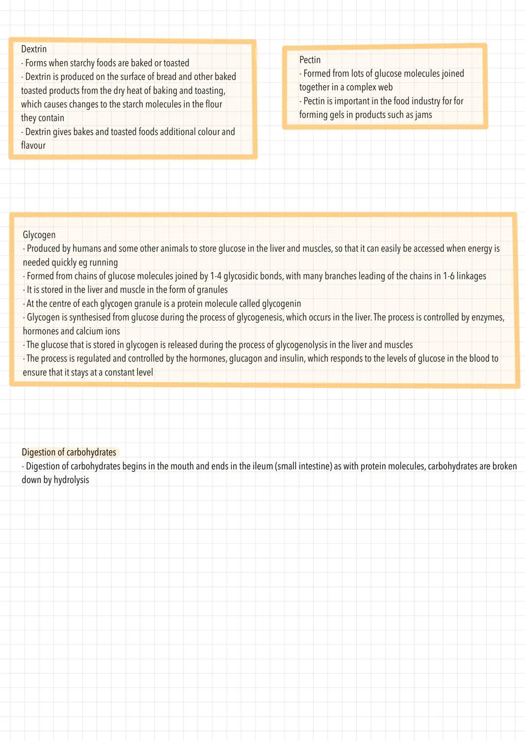 Chemical composition of carbohydrates:
- Carbohydrates are made up of
1) carbon
2) hydrogen
3) oxygen
CARBOHYDRATES
During photosynthesis, g