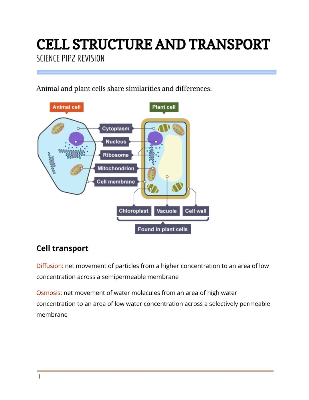 CELL STRUCTURE AND TRANSPORT
SCIENCE PIP2 REVISION
Animal and plant cells share similarities and differences:
**0008000
Animal cell
1
Cytopl