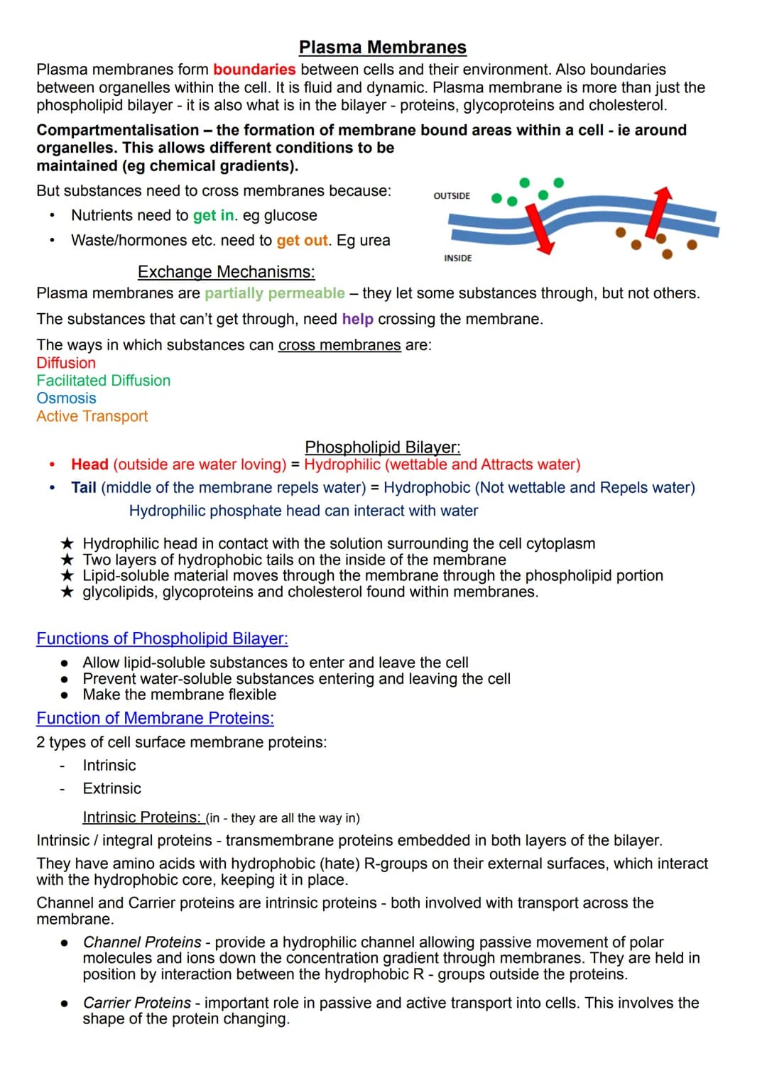 Plasma Membranes
Plasma membranes form boundaries between cells and their environment. Also boundaries
between organelles within the cell. I