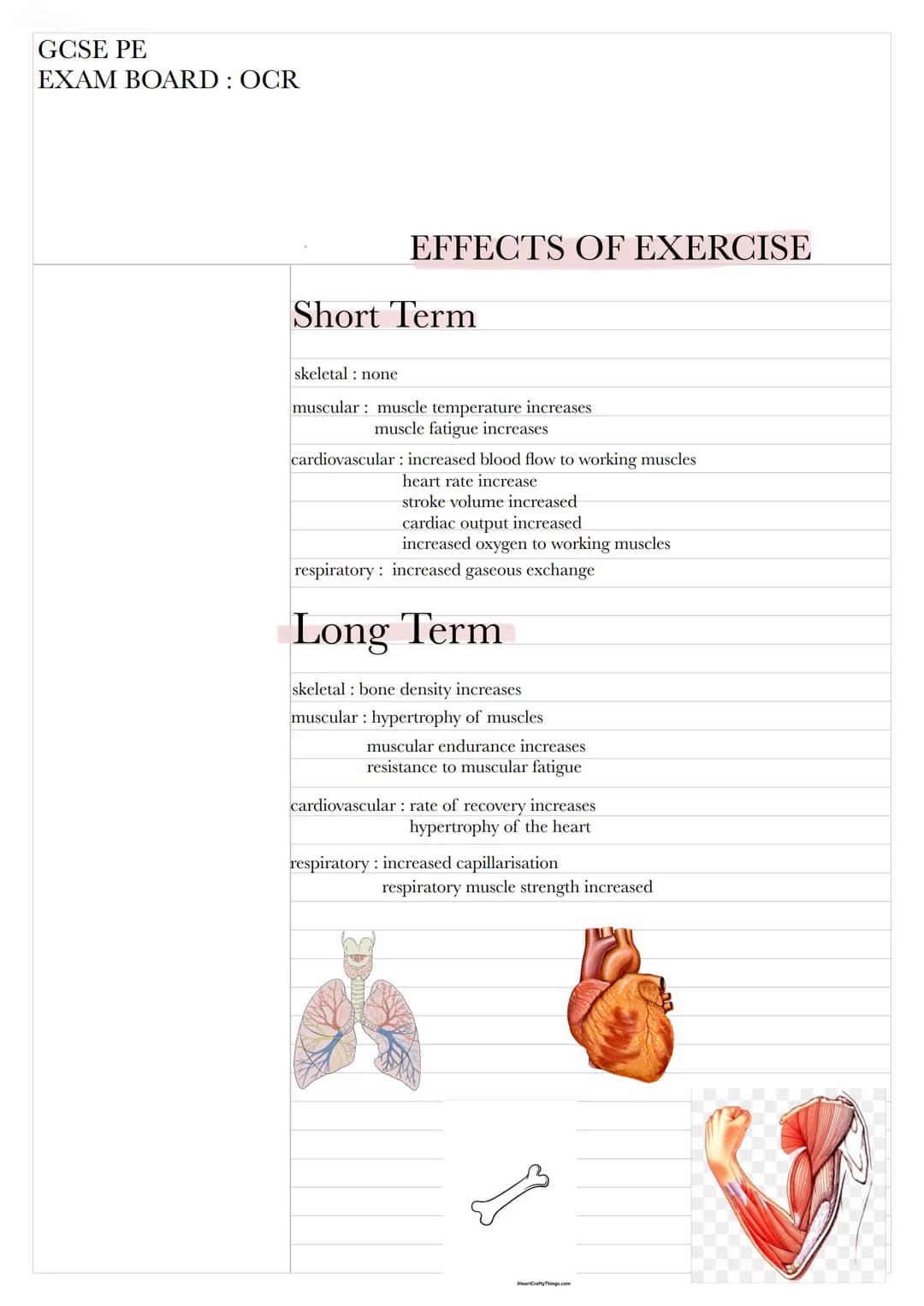 GCSE PE
EXAM BOARD: OCR
EFFECTS OF EXERCISE
Short Term
skeletal: none
muscular: muscle temperature increases
muscle fatigue increases
cardio