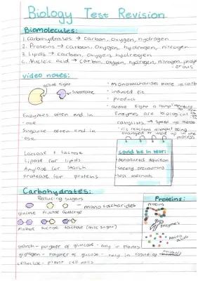 Know Enzymes thumbnail