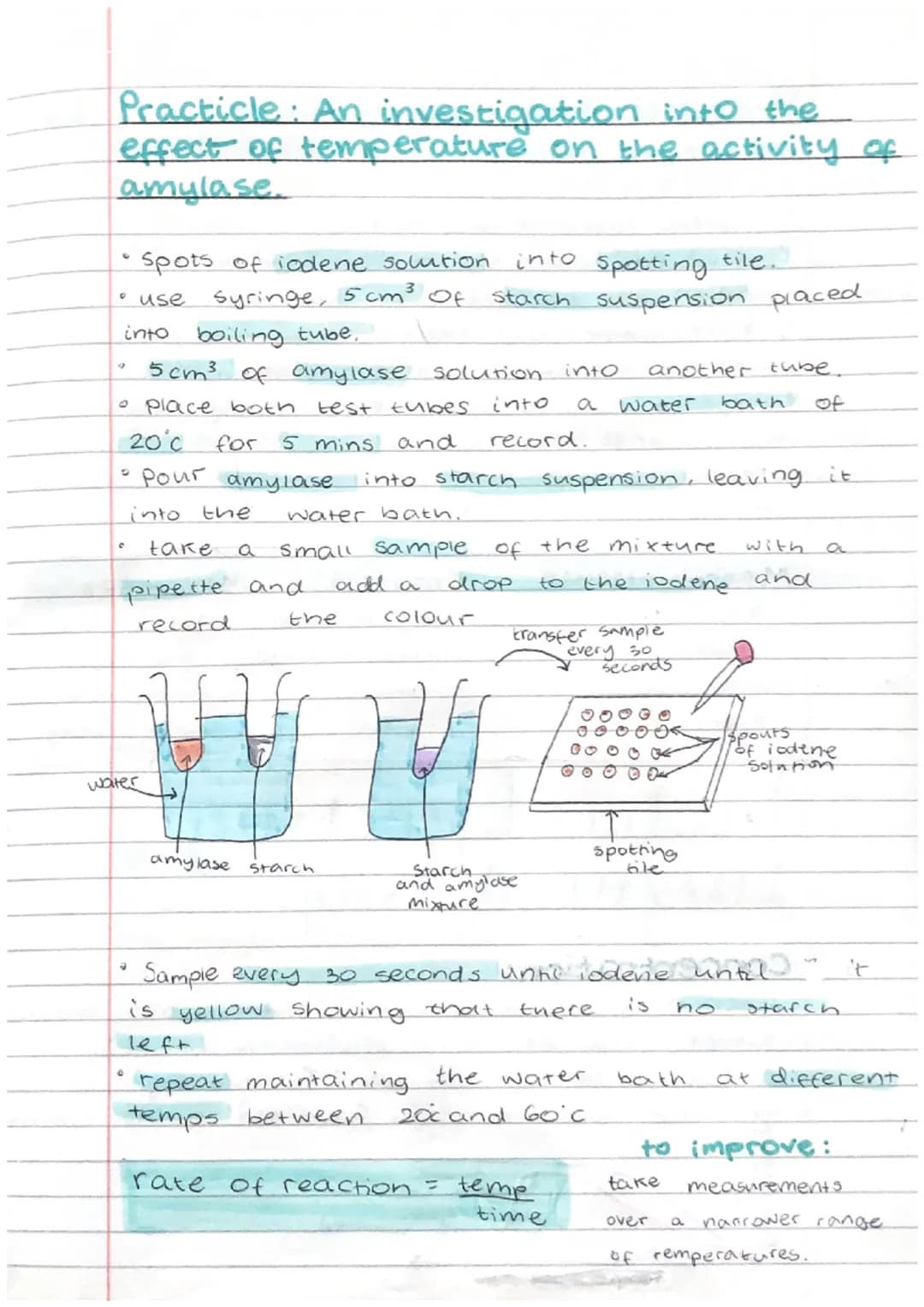 Biology Test Revision
Biomolecules:
1. Carbohydrates → carbon, oxygen, hydrogen
2. Proteins → carbon, Oxygen, hydrogen, nitrogen
3. Lipids →