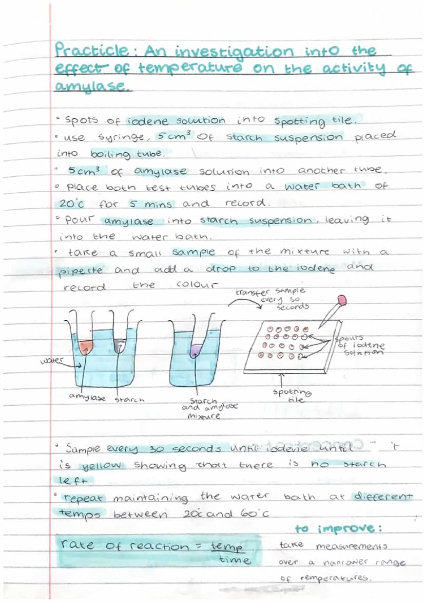 Biology Test Revision
Biomolecules:
1. Carbohydrates → carbon, oxygen, hydrogen
2. Proteins → carbon, Oxygen, hydrogen, nitrogen
3. Lipids →
