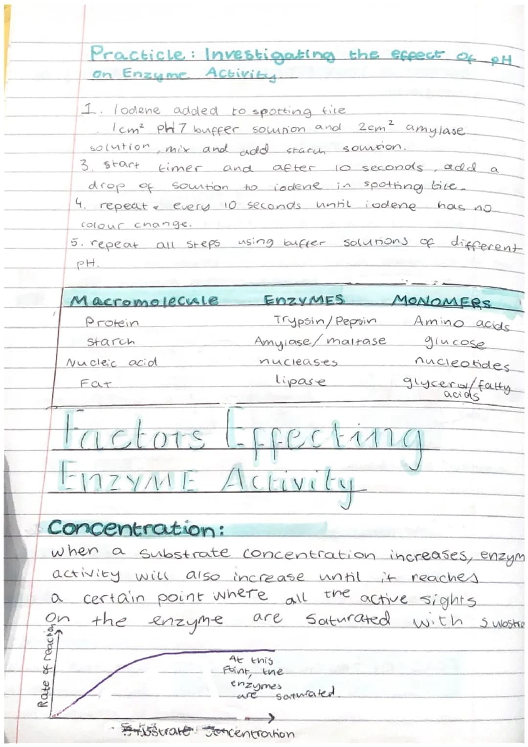 Biology Test Revision
Biomolecules:
1. Carbohydrates → carbon, oxygen, hydrogen
2. Proteins → carbon, Oxygen, hydrogen, nitrogen
3. Lipids →