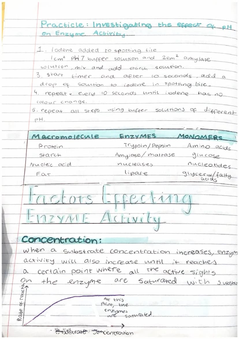 Biology Test Revision
Biomolecules:
1. Carbohydrates → carbon, oxygen, hydrogen
2. Proteins → carbon, Oxygen, hydrogen, nitrogen
3. Lipids →