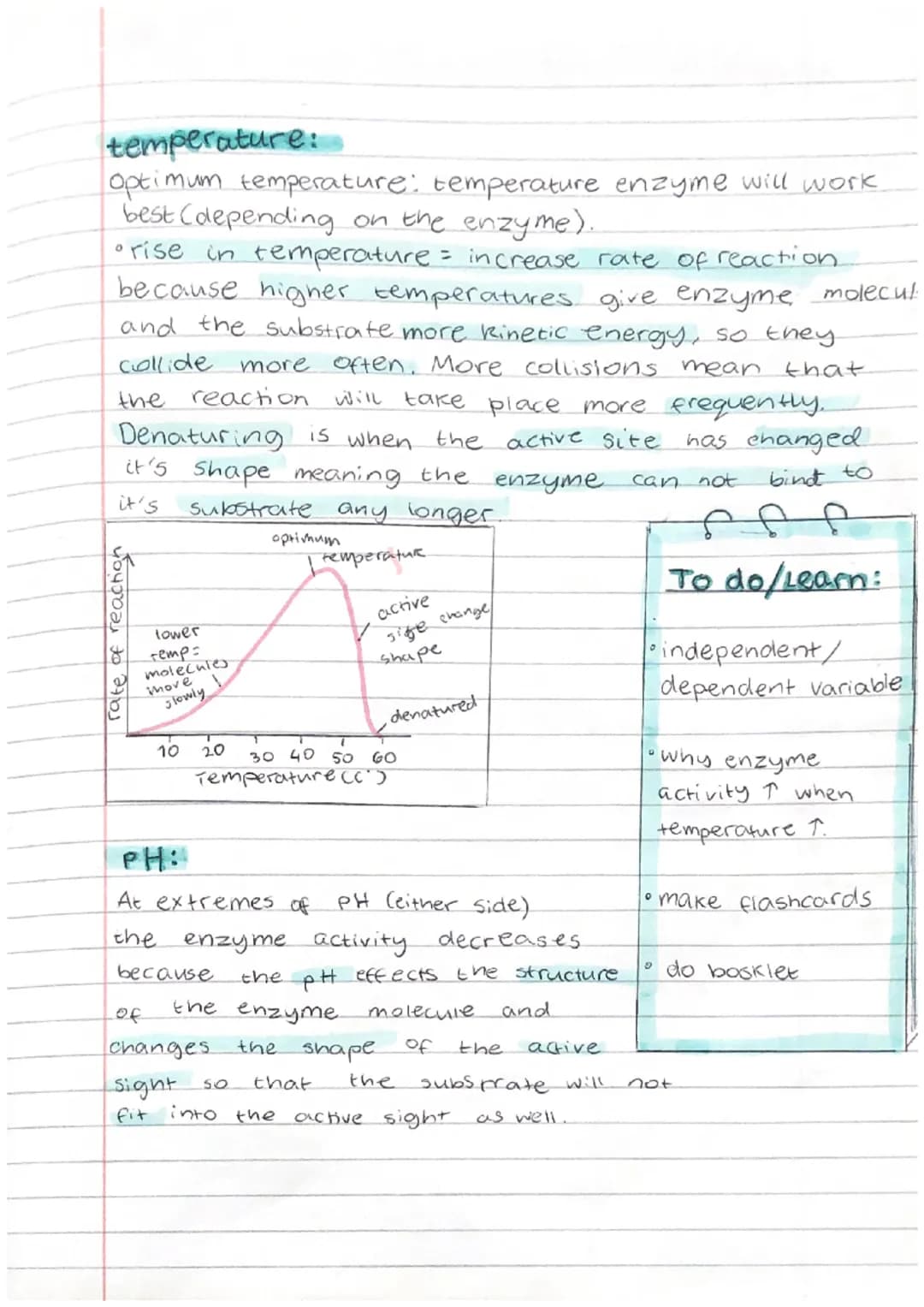 Biology Test Revision
Biomolecules:
1. Carbohydrates → carbon, oxygen, hydrogen
2. Proteins → carbon, Oxygen, hydrogen, nitrogen
3. Lipids →