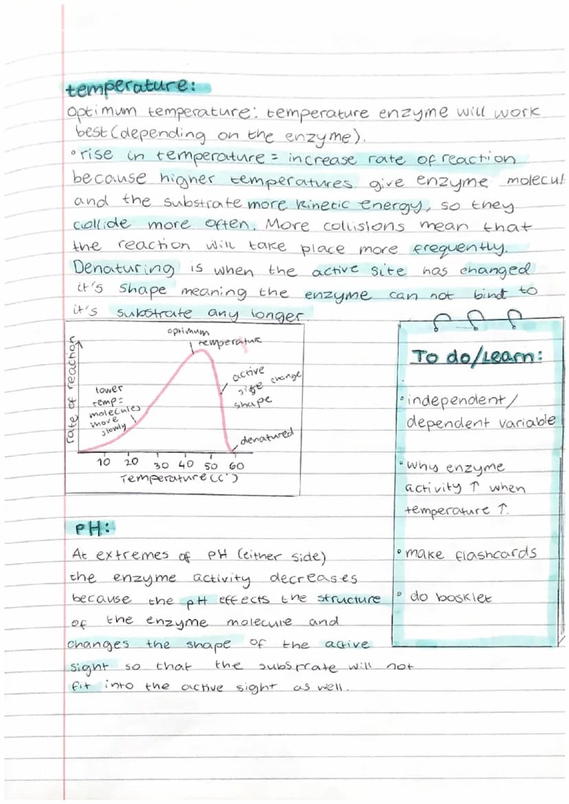 Biology Test Revision
Biomolecules:
1. Carbohydrates → carbon, oxygen, hydrogen
2. Proteins → carbon, Oxygen, hydrogen, nitrogen
3. Lipids →