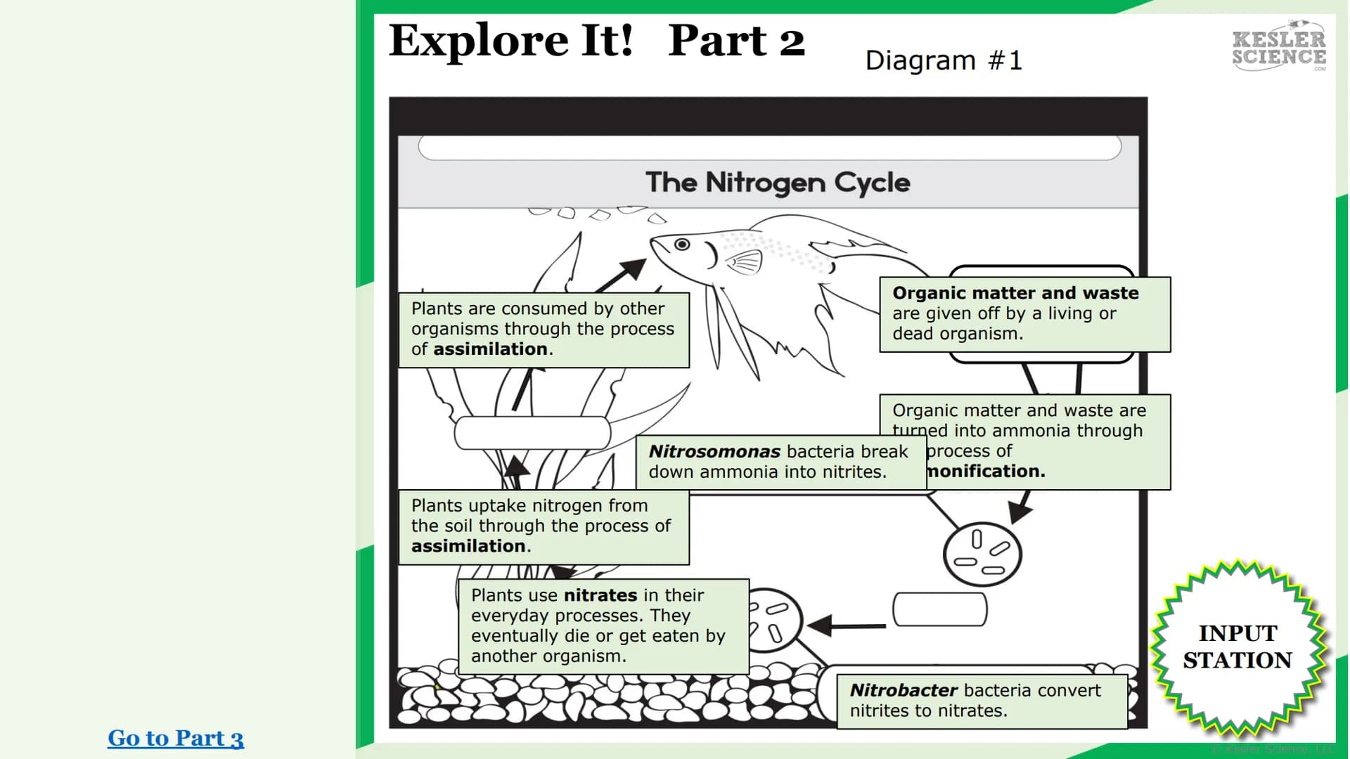 KESLER
SCIENCE
Watch It!
Research It!
Read It!
Explore It!
The Lab Room
Nitrogen
cycle
Challenge It!
Write It!
Organize It!
Assess It!
Illus