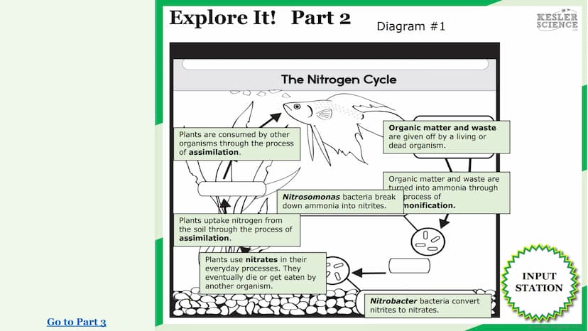 KESLER
SCIENCE
Watch It!
Research It!
Read It!
Explore It!
The Lab Room
Nitrogen
cycle
Challenge It!
Write It!
Organize It!
Assess It!
Illus