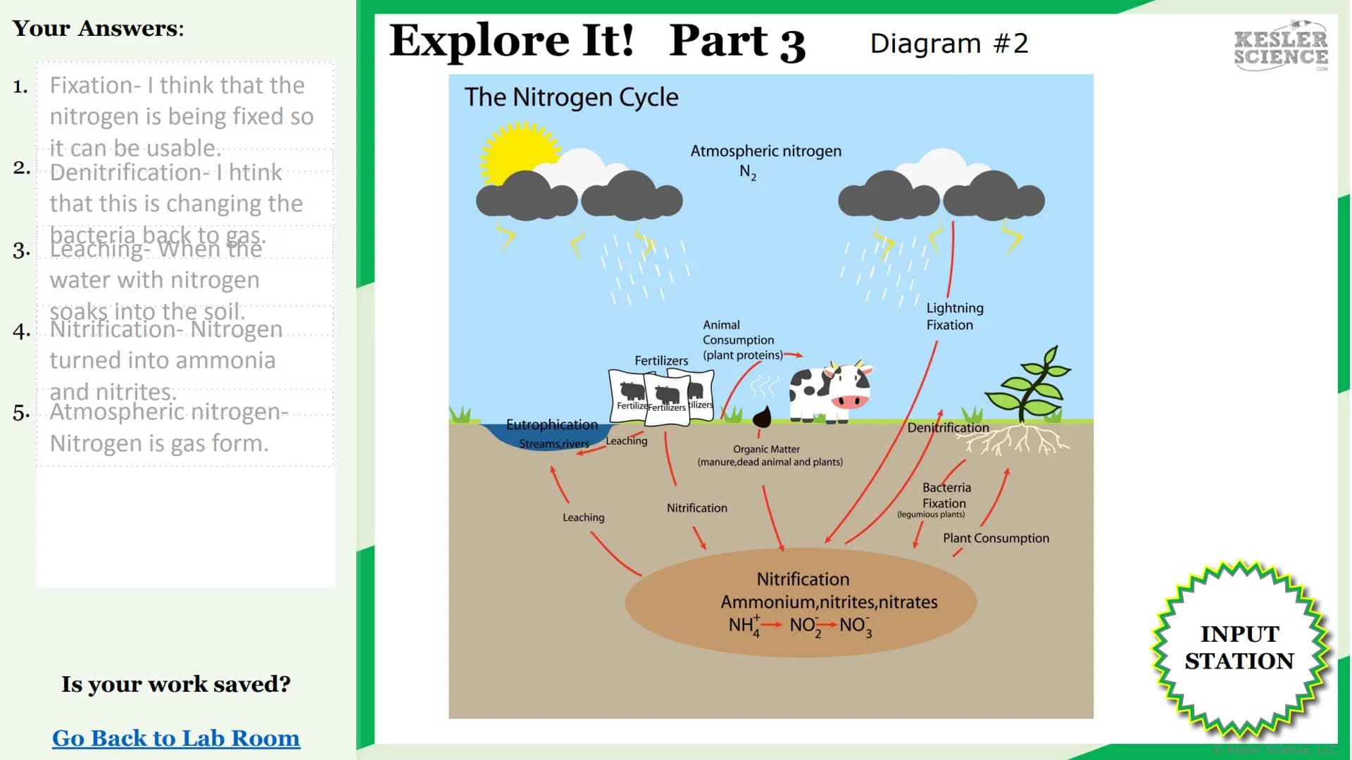 KESLER
SCIENCE
Watch It!
Research It!
Read It!
Explore It!
The Lab Room
Nitrogen
cycle
Challenge It!
Write It!
Organize It!
Assess It!
Illus