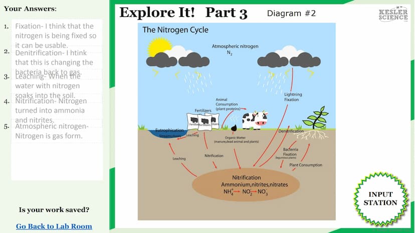 KESLER
SCIENCE
Watch It!
Research It!
Read It!
Explore It!
The Lab Room
Nitrogen
cycle
Challenge It!
Write It!
Organize It!
Assess It!
Illus