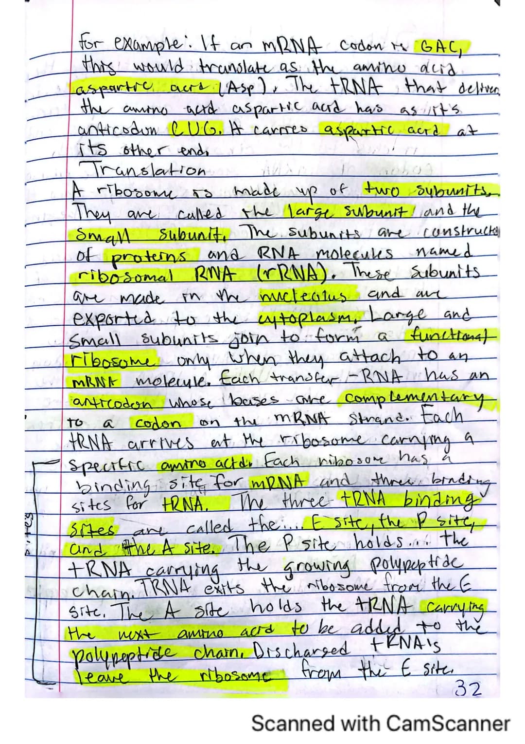 6
V
DNA, RNA, and Protein Synthesis
The DNA molecule, with it's four nitrogenous
bases us code for all proteins that are made.
in a cell.
is