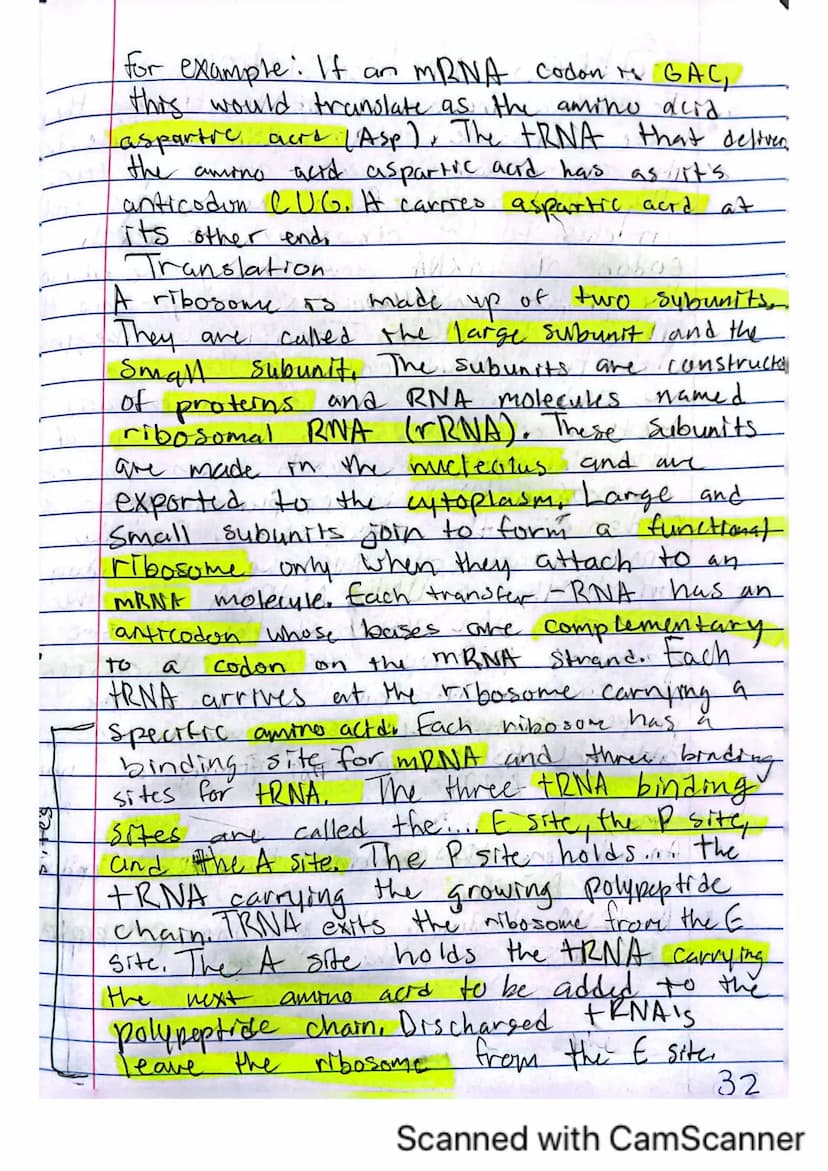 6
V
DNA, RNA, and Protein Synthesis
The DNA molecule, with it's four nitrogenous
bases us code for all proteins that are made.
in a cell.
is