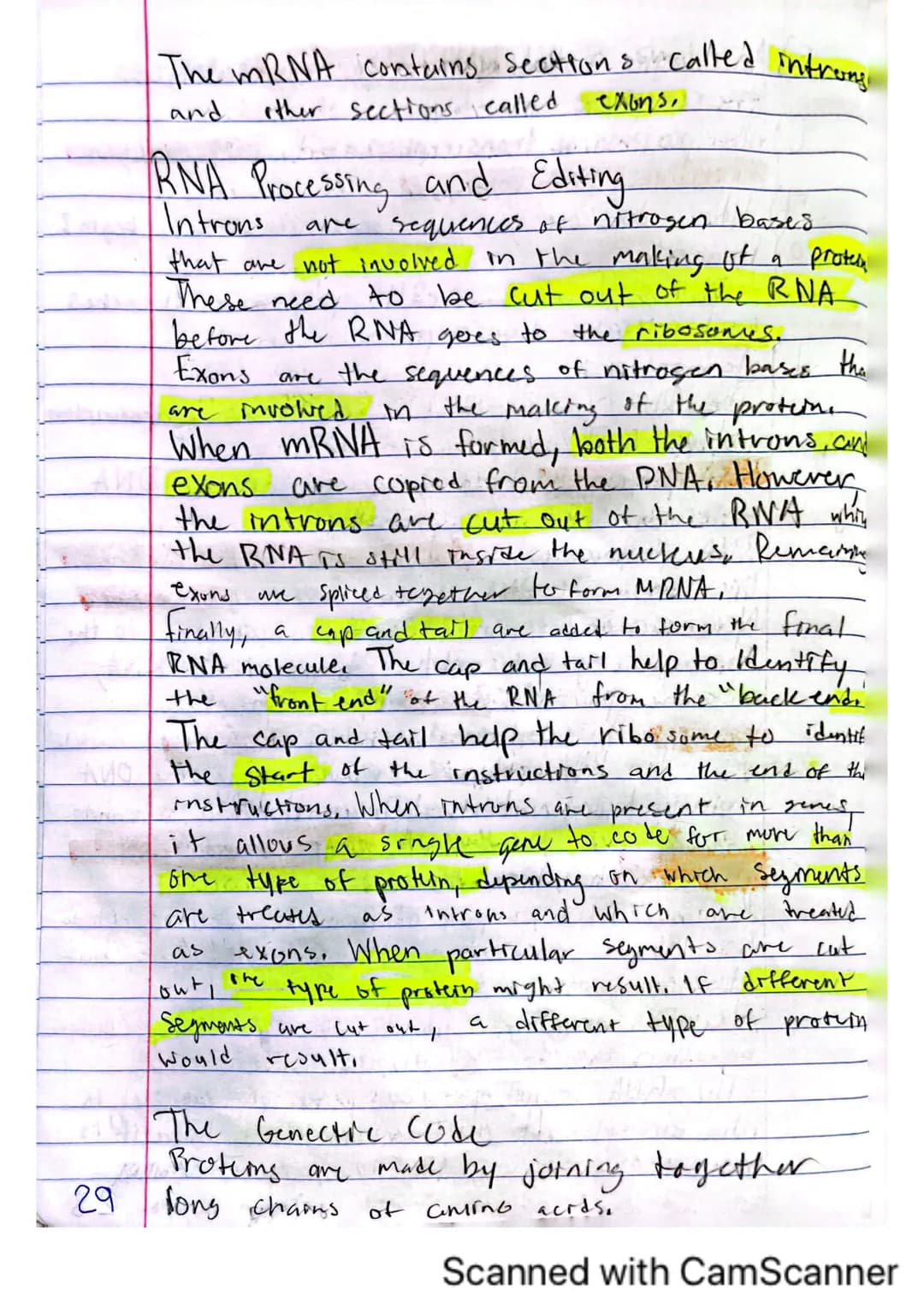 6
V
DNA, RNA, and Protein Synthesis
The DNA molecule, with it's four nitrogenous
bases us code for all proteins that are made.
in a cell.
is