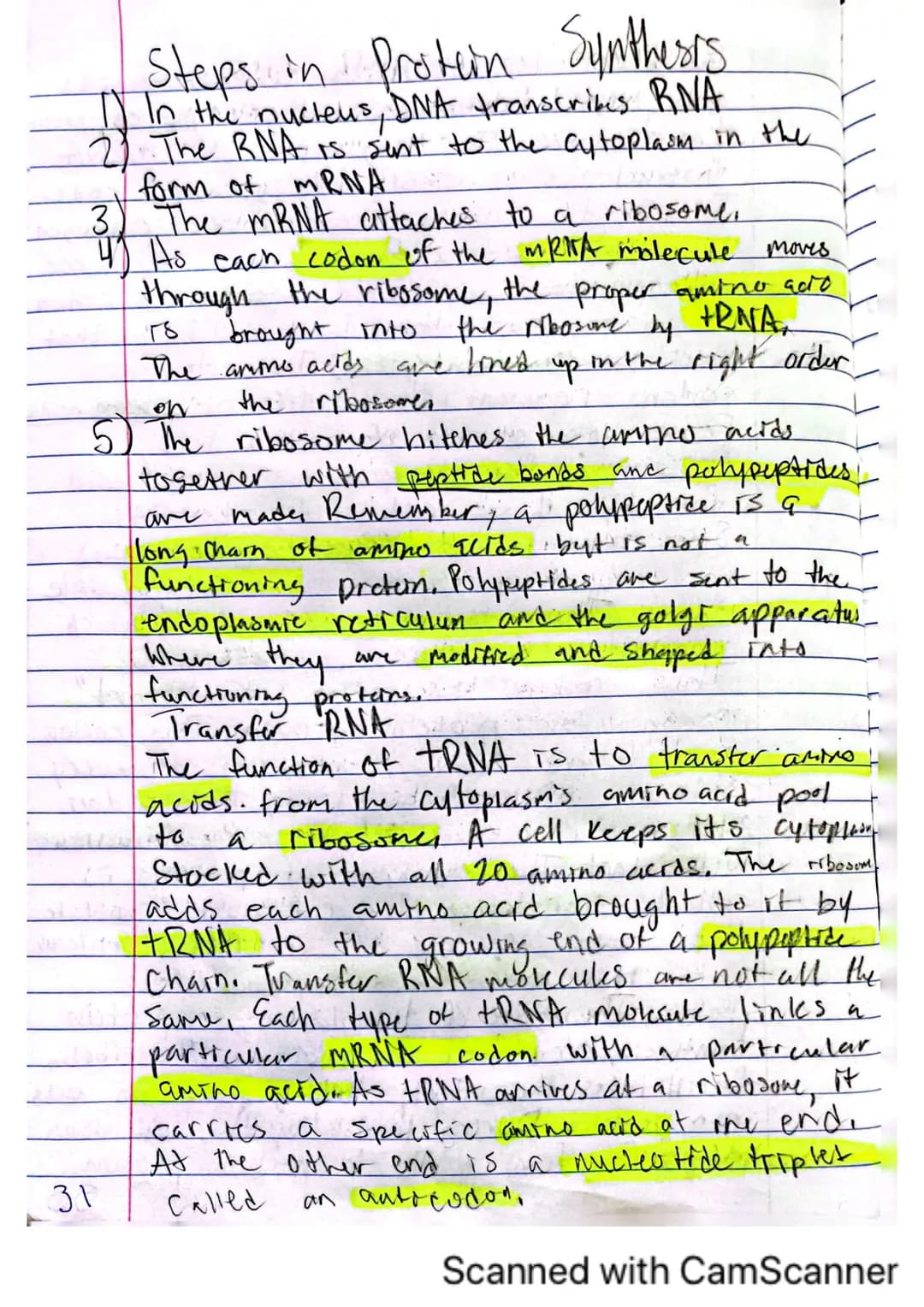 6
V
DNA, RNA, and Protein Synthesis
The DNA molecule, with it's four nitrogenous
bases us code for all proteins that are made.
in a cell.
is