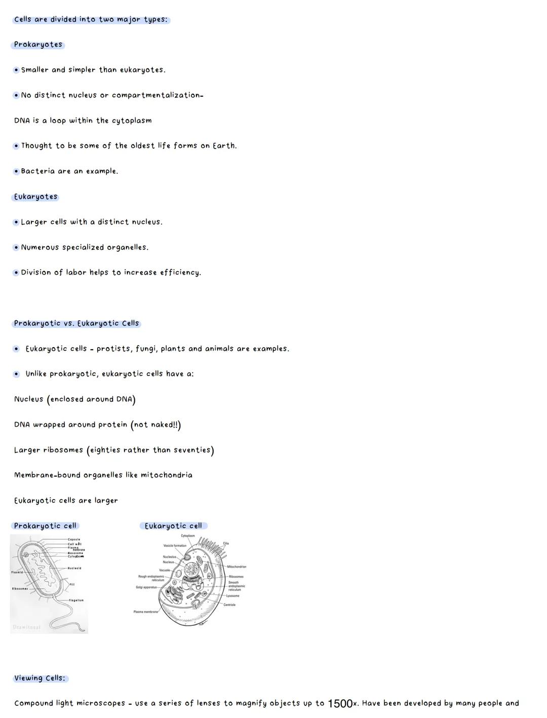 What are cells?
Cells are the smallest structural and functional unit of an organism, typically microscopic and consistenting of cytoplasm a