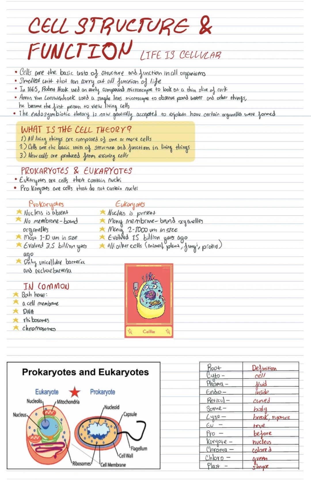 Understanding Cell Theory and Structure: Summary and Notes