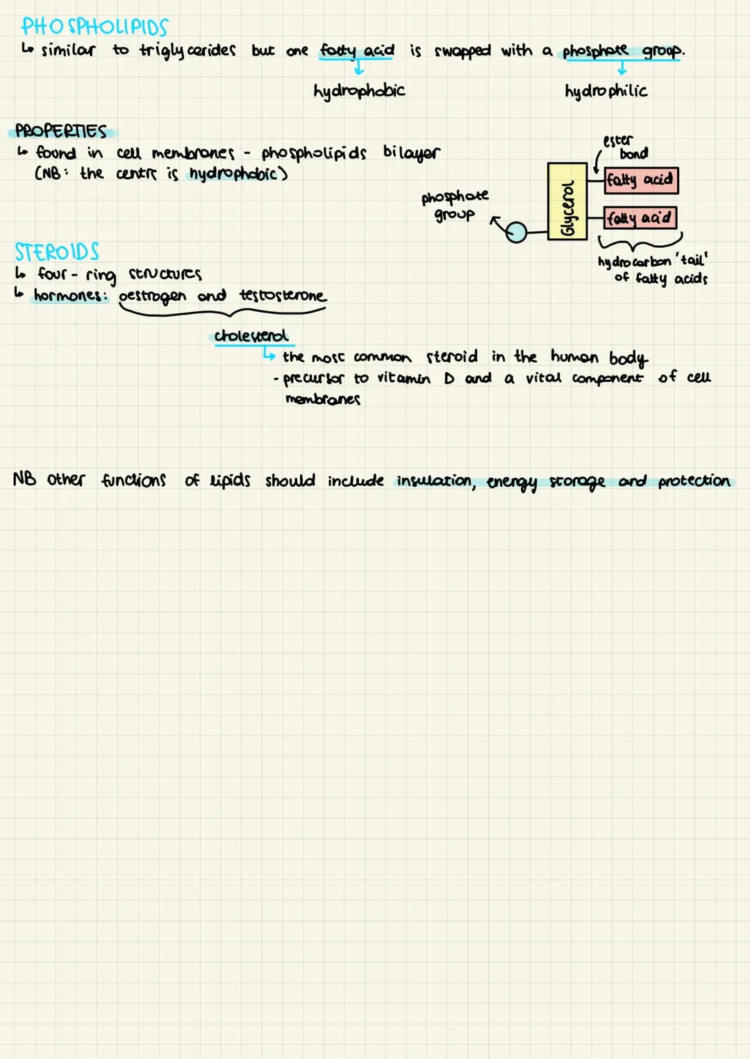 Lipids are not polymers made of many monomers.
• All contain hydrocarbons but many contain other components.
.
Lipid structure I components 