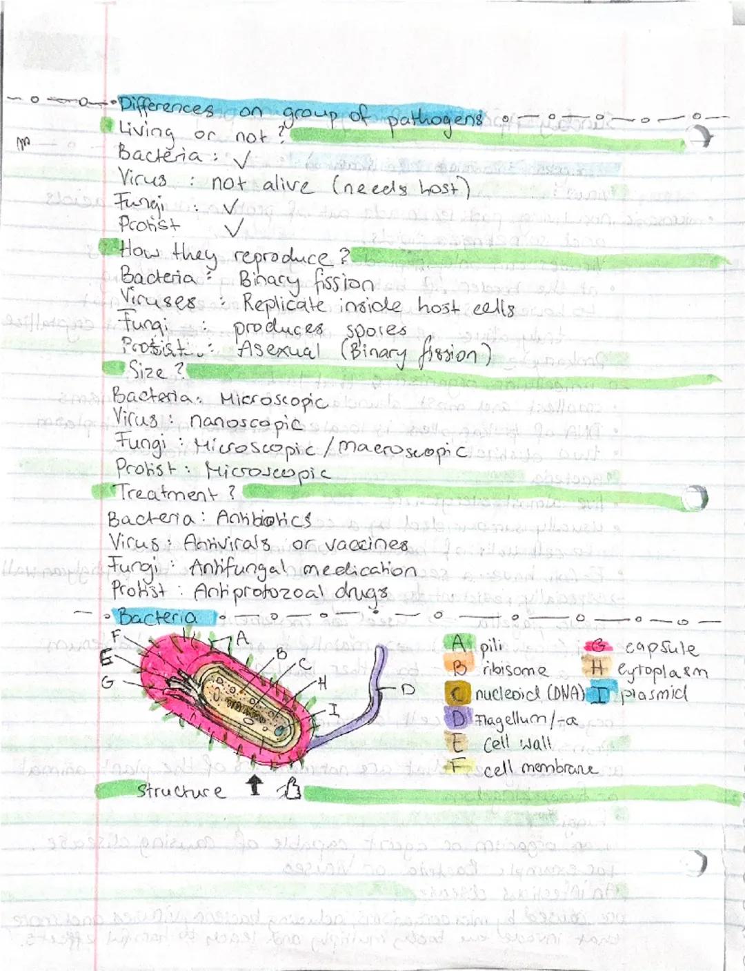 Biology exam prep

Pathogens

virus
D

•microscopic, non living pathogen made out of protein, nucleic acids.
and sometimes lipids.
Viruses c