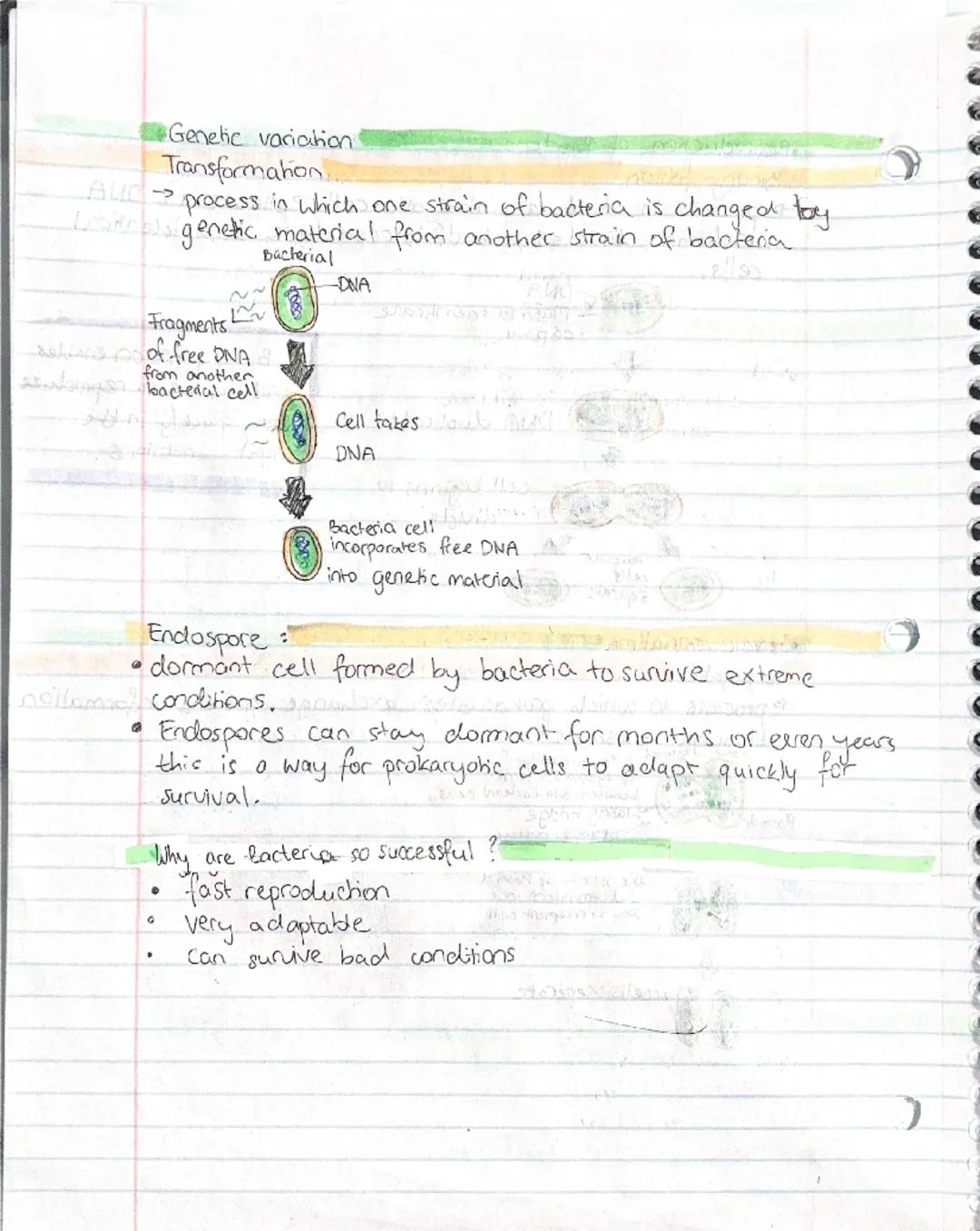 Biology exam prep

Pathogens

virus
D

•microscopic, non living pathogen made out of protein, nucleic acids.
and sometimes lipids.
Viruses c
