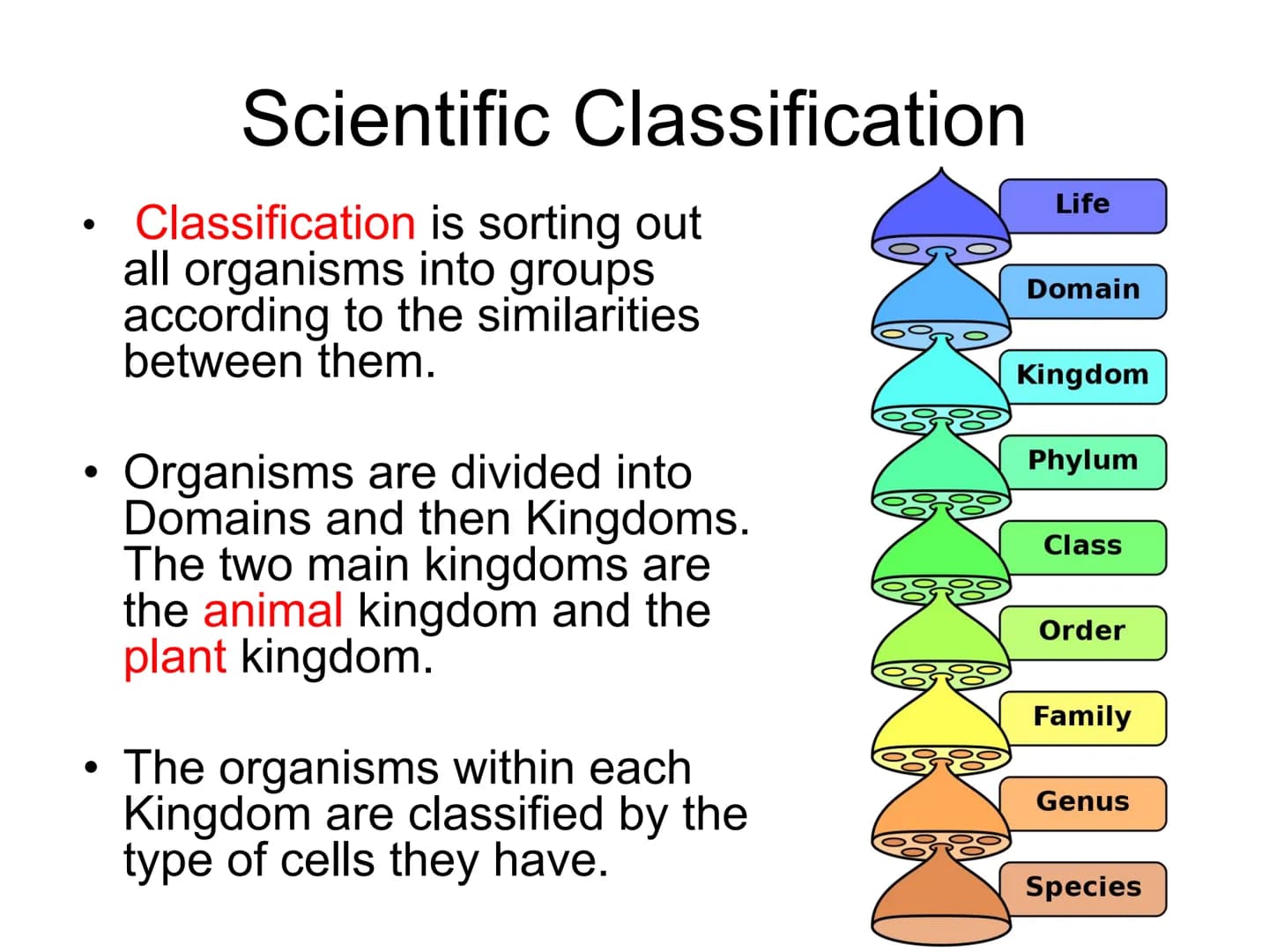 How Do We Group
Living Things? ●
●
Look at the pictures of animals:
Are they same/different
How can you put them into groups ●
●
Scientific 
