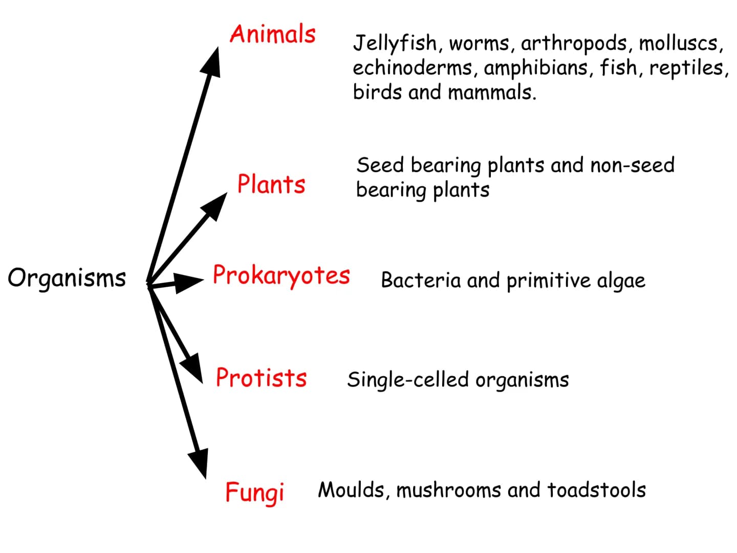 How Do We Group
Living Things? ●
●
Look at the pictures of animals:
Are they same/different
How can you put them into groups ●
●
Scientific 