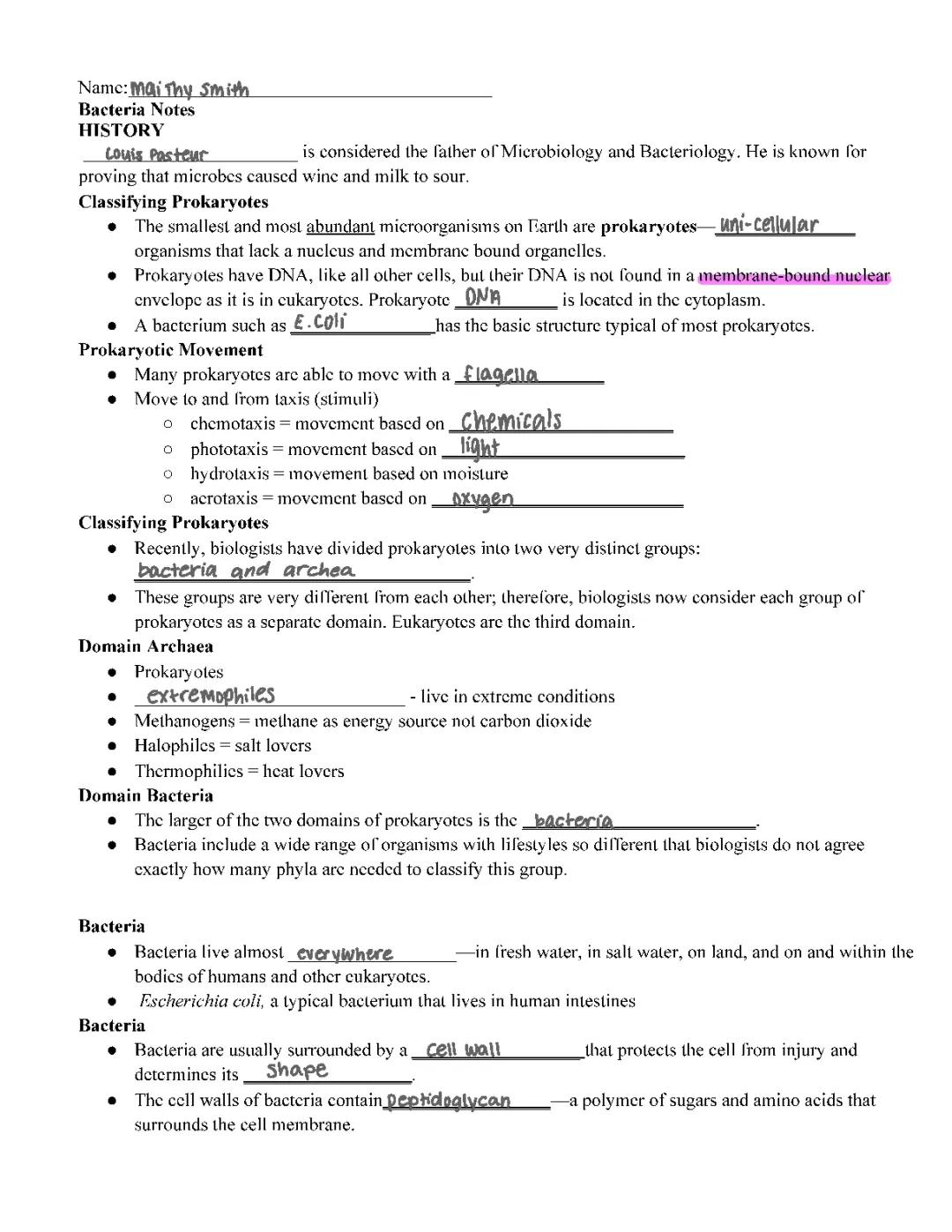 Understanding Bacteria: Honors Biology Notes