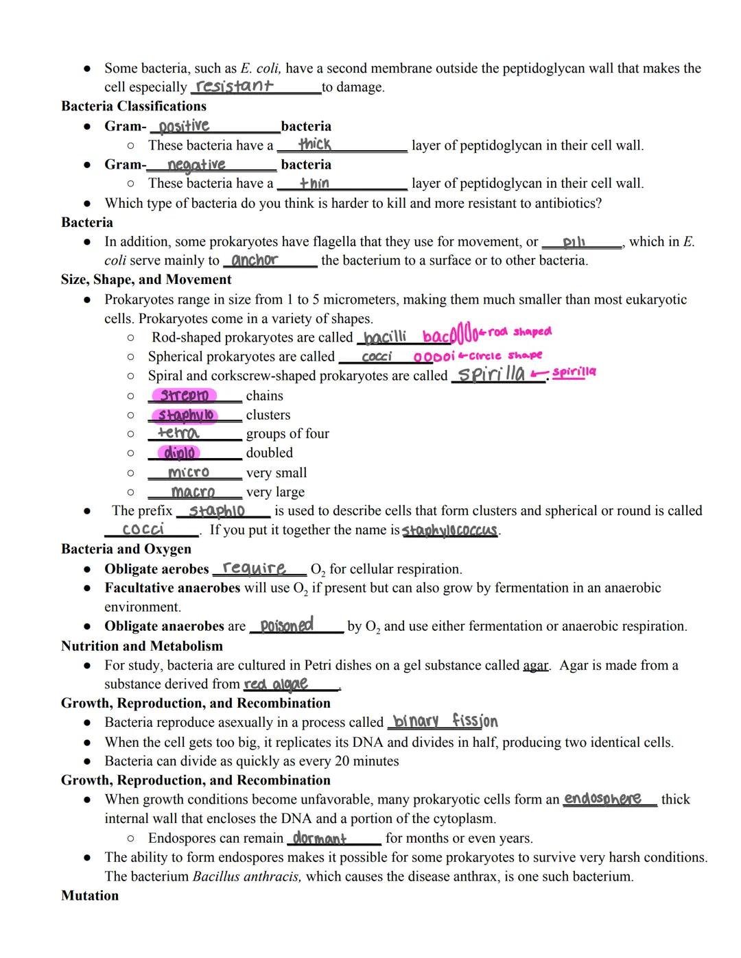 Name: Mai Thy Smith
Bacteria Notes
HISTORY
Louis Pasteur
is considered the father of Microbiology and Bacteriology. He is known for
proving 