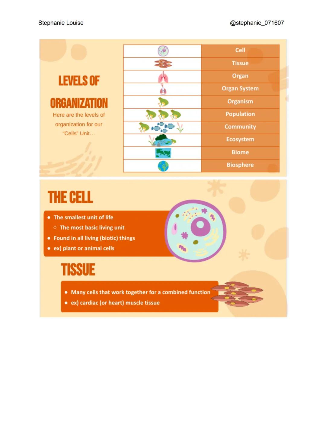 Stephanie Louise
@stephanie_071607
LEVELS OF ORGANIZATION
The Living Earth Stephanie Louise
LEVELS OF
ORGANIZATION
Here are the levels of
or