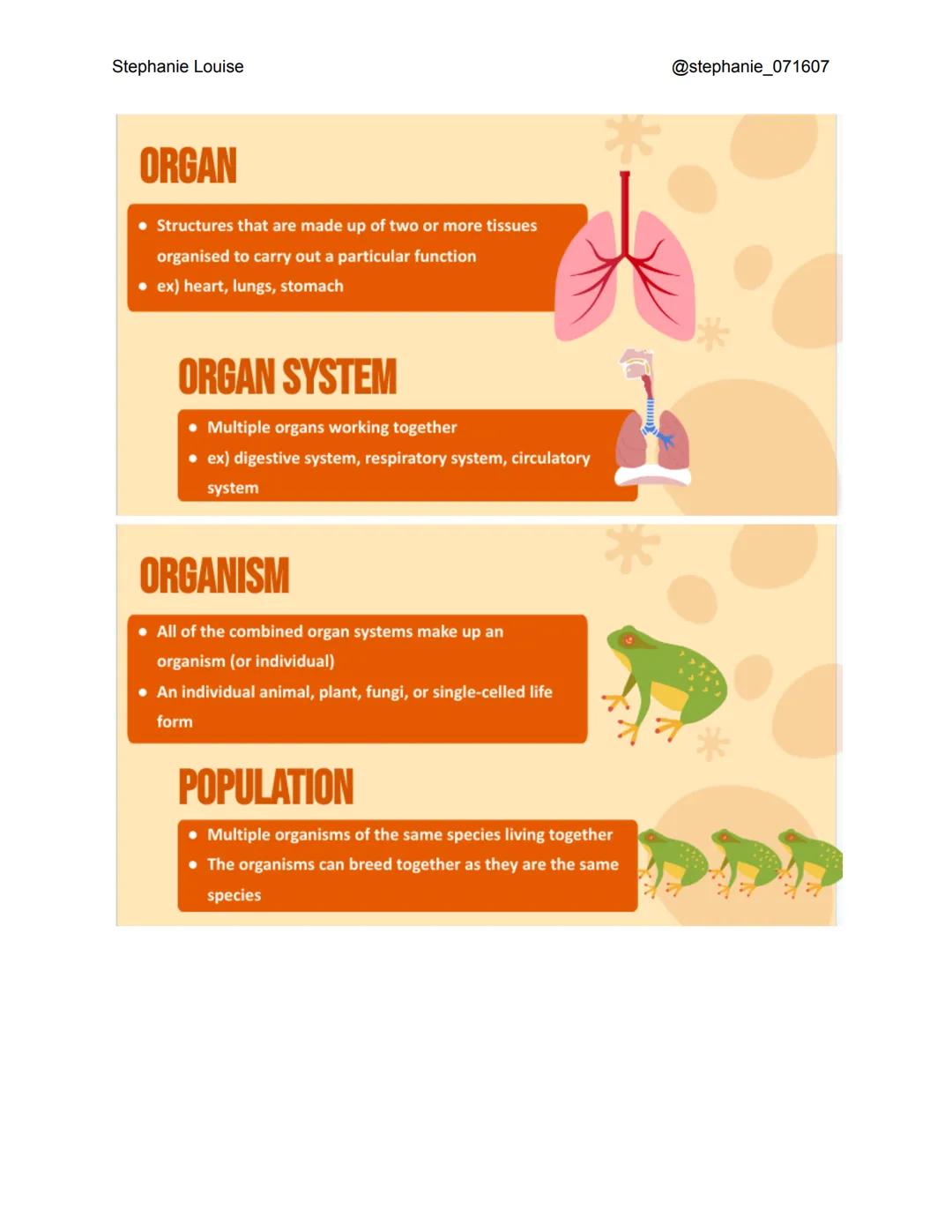 Stephanie Louise
@stephanie_071607
LEVELS OF ORGANIZATION
The Living Earth Stephanie Louise
LEVELS OF
ORGANIZATION
Here are the levels of
or