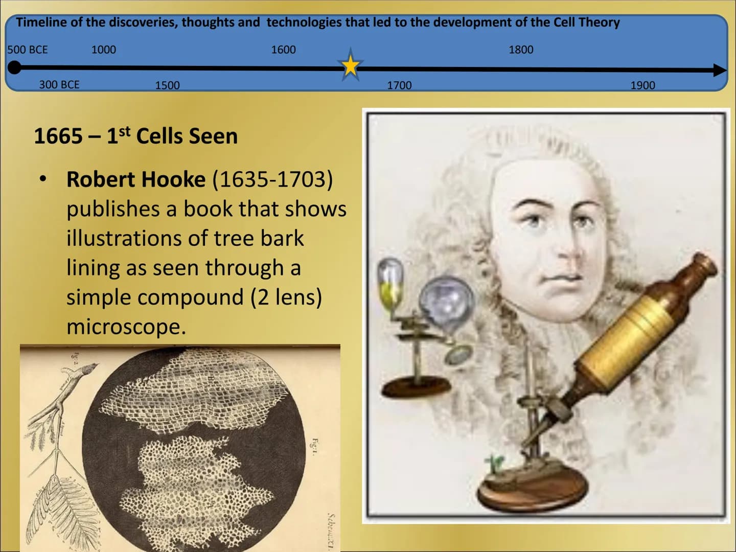The Cell Theory Timeline of the discoveries, thoughts and technologies that led to the development of the Cell Theory
500 BCE
1800
300 BCE
1