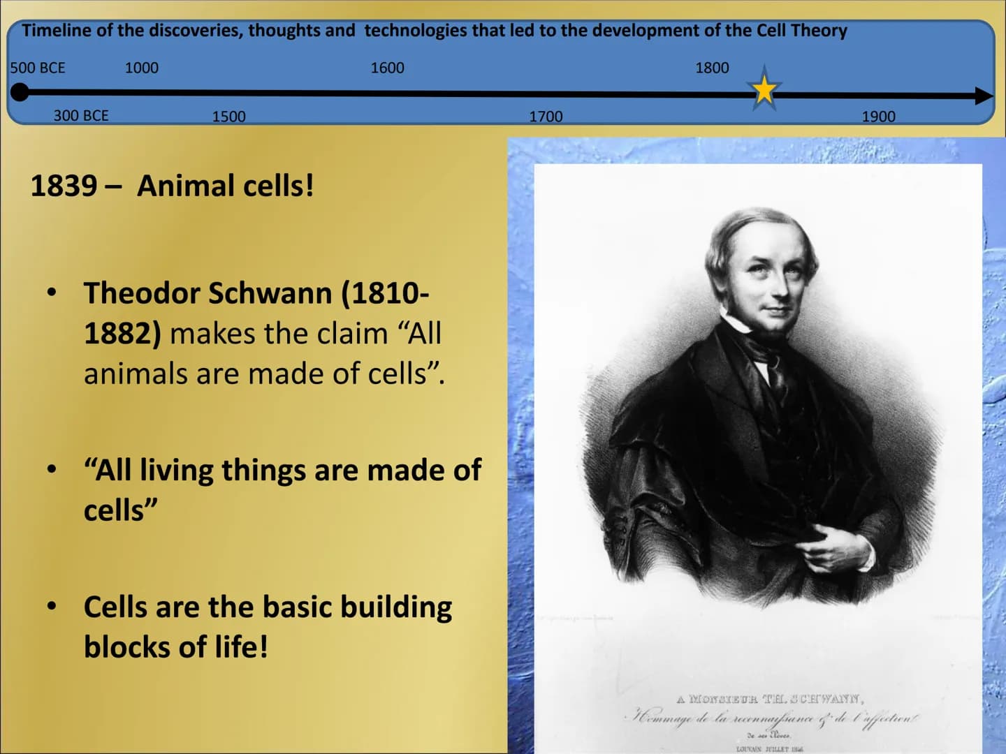 The Cell Theory Timeline of the discoveries, thoughts and technologies that led to the development of the Cell Theory
500 BCE
1800
300 BCE
1