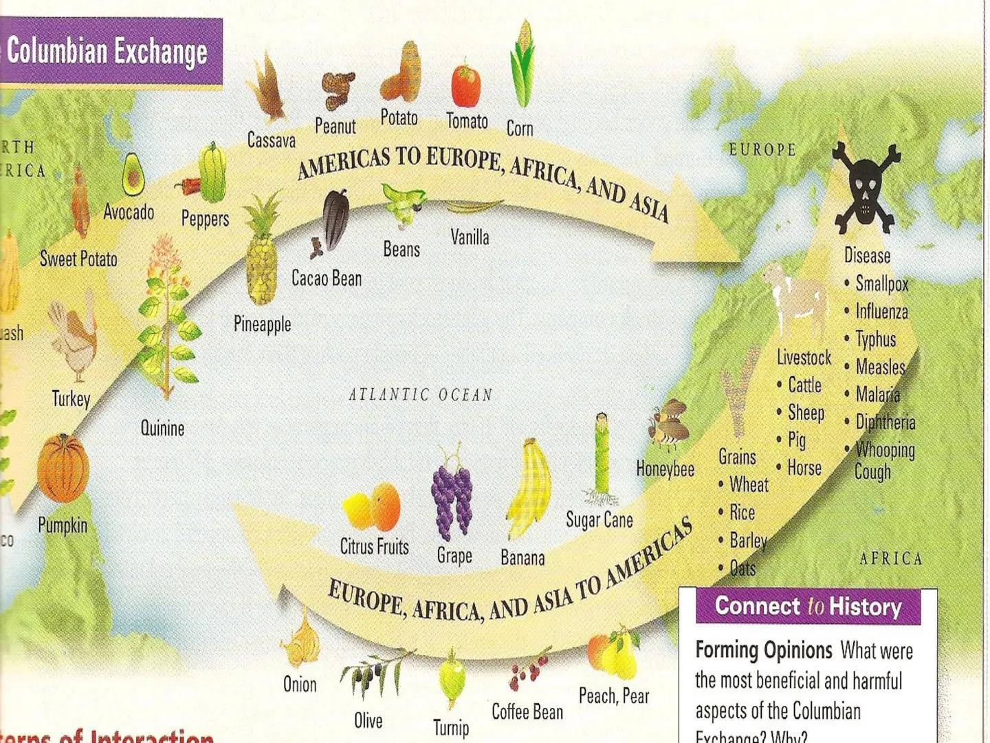 # The Columbian Exchange Western
Hemisphere
(New World)
Eastern Hemisphere
(Old World) # The Columbian Exchange

• Columbus' voyages may hav