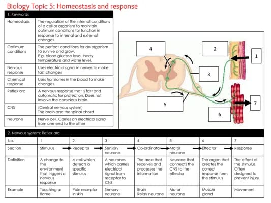 Know HOMEOSTASIS AND RESPONSE thumbnail