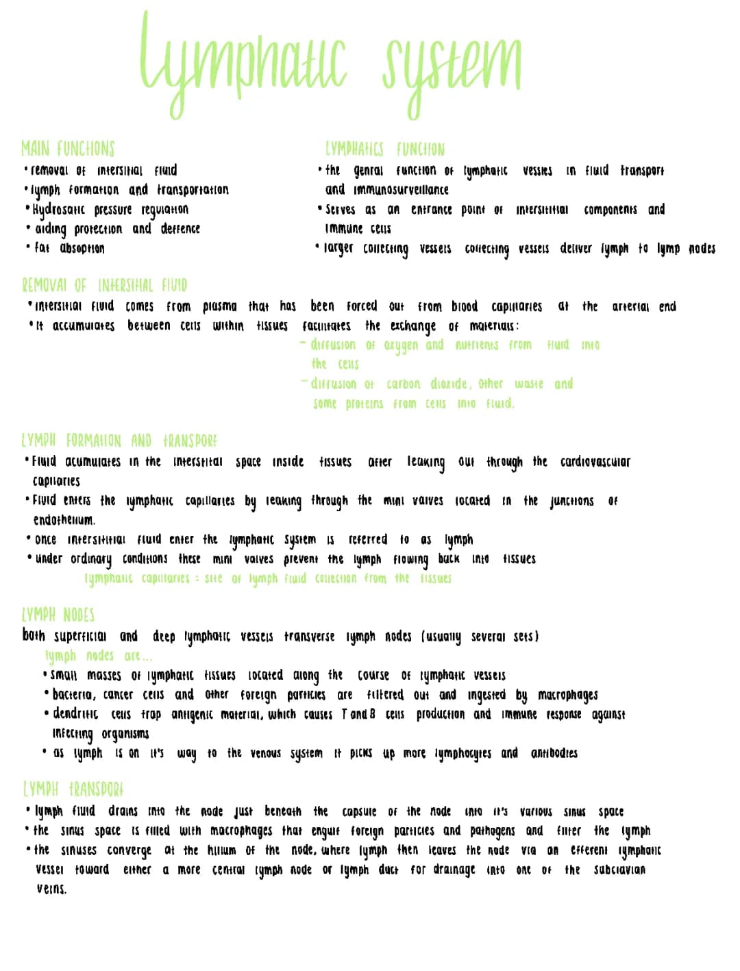 lymphatic system 
