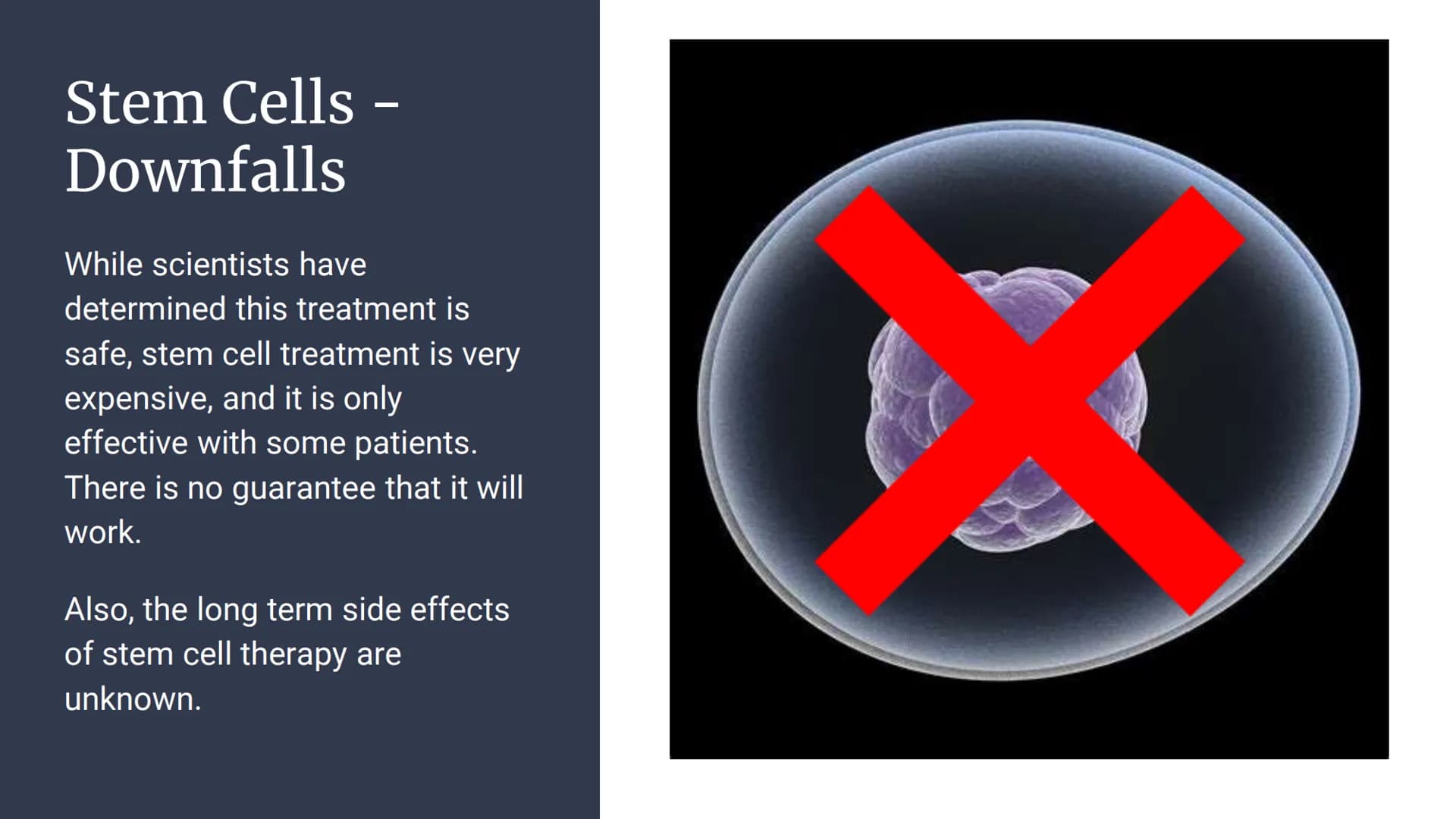 Alzheimer's Disease
Jilly Description
Alzheimer's is a
progressive disorder that
causes brain cells to
degenerate and die. This
often causes
