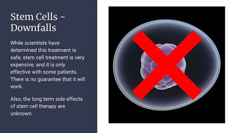 Alzheimer's Disease
Jilly Description
Alzheimer's is a
progressive disorder that
causes brain cells to
degenerate and die. This
often causes