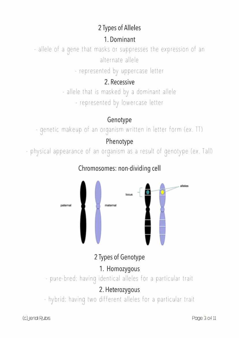 Science 10 Form 3
> Introduction to Genetics
Genetics
study of heredity
branch of Biology that studies biological hereditary information
Her