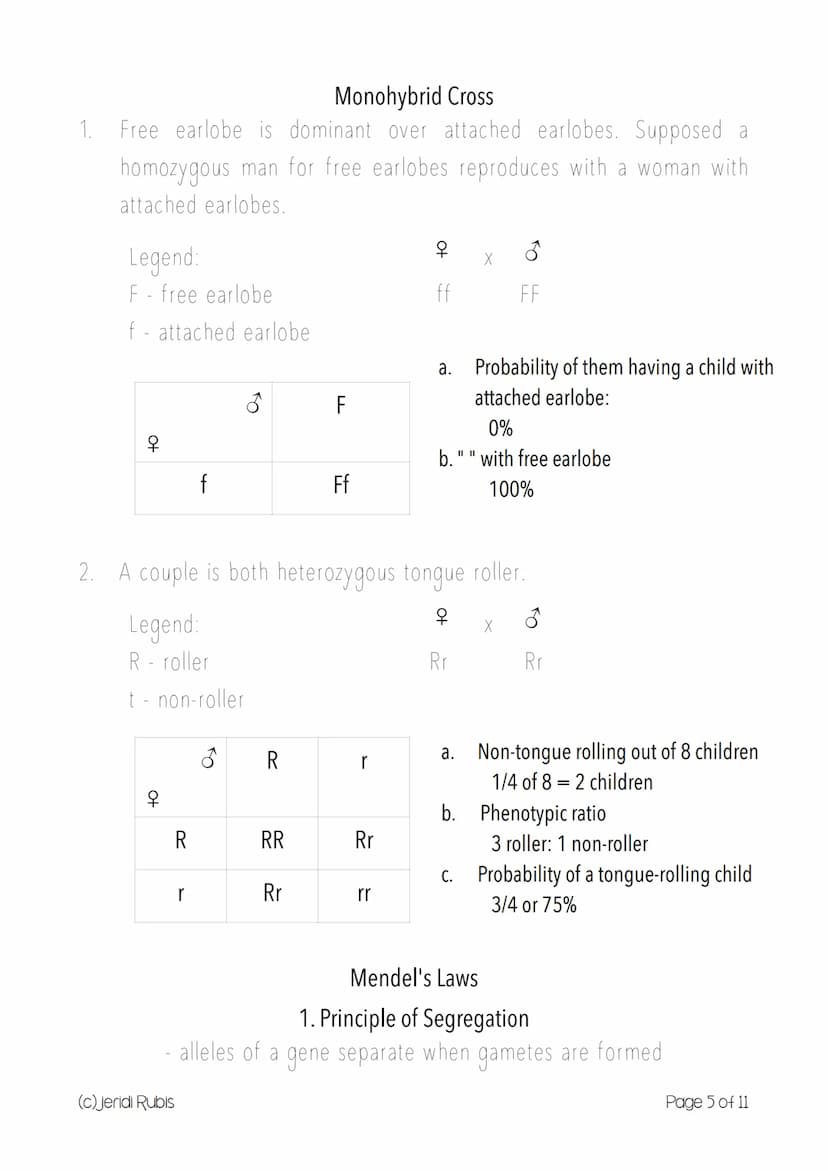 Science 10 Form 3
> Introduction to Genetics
Genetics
study of heredity
branch of Biology that studies biological hereditary information
Her